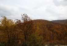 Robert College a Monument of Education and Light