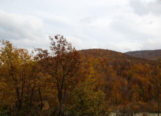 Robert College a Monument of Education and Light