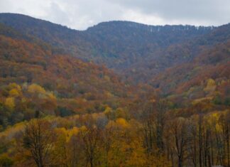 A Special Invitation to the Sultan’s Treasury