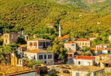 A Harvard Graduate from a Humble Background