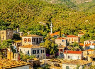 A Harvard Graduate from a Humble Background