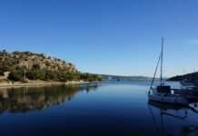 Miss Stone’s Accidental Revelations