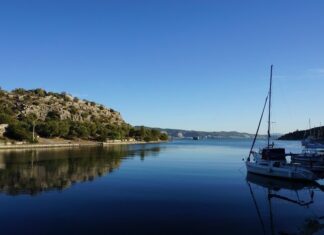 Miss Stone’s Accidental Revelations