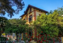 Political Goals of the Macedonian Committee