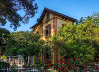 Political Goals of the Macedonian Committee