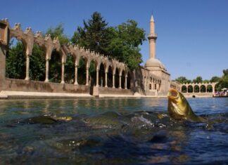 Excavations at Old Corinth