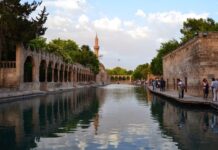 Life Among the Ruins