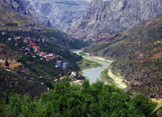 Warlike Engines and Instruments of Defence