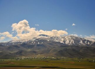 Abundance of Fruits and Crops